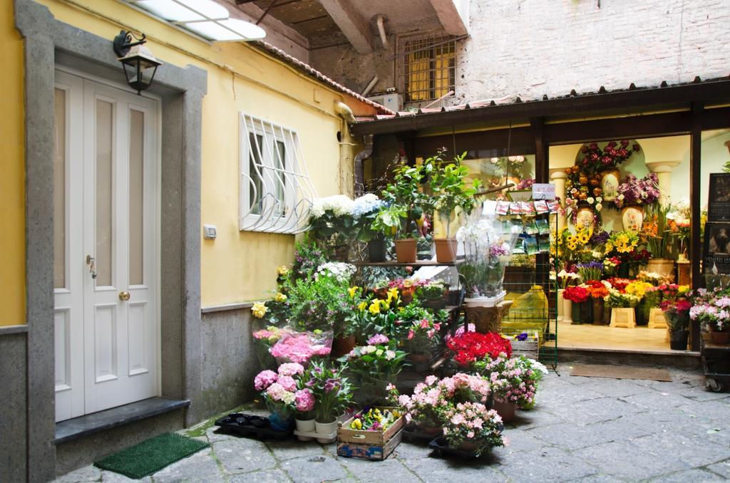 Casa Tonia San Cesareo Sorrento Quarto foto